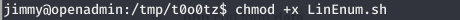 Execute LinEnum