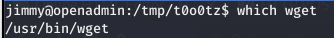 wget check